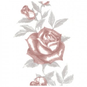 Traditional Rose